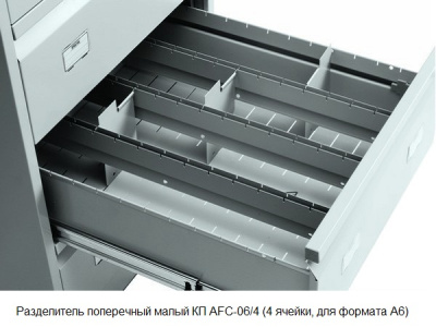 Медицинская картотека Практик МД AFC-06